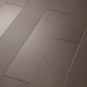 Antebellum 07040 EPIC Plus Shaw Floors