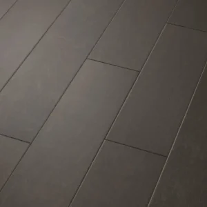 Contemporary 09028 EPIC Plus By Shaw Floors