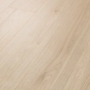 Coconut Grove 01051 By Shaw Floors