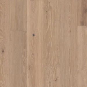 Applique 01146 The Gallery Collection By Shaw Floors