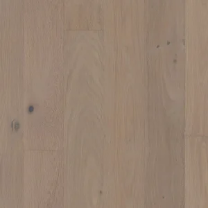 Atelier 05110 The Gallery Collection By Shaw Floors