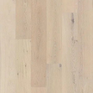 Cotton 01173 No Collection By Shaw Floors