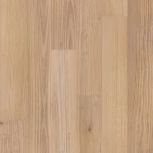 Coral Sand 01176 No Collection By Shaw Floors