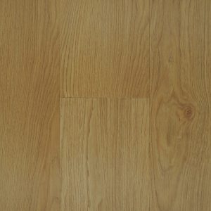 Coral Ventura By Impressive