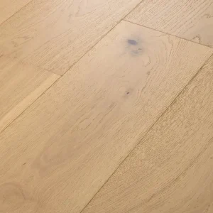 Harmony 01132 The Gallery By Shaw Floors