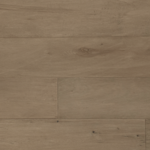 Grandeur Aries from the Divine Collection