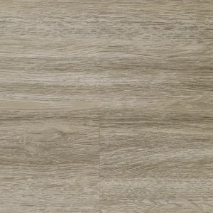 Fuzion Beech Tree from the Woodlands Collection