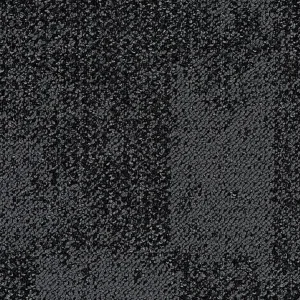 Fuzion Champlain from the Bala Bay (3000) Collection