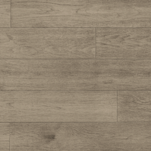 Grandeur Coyote from the Artisan Collection