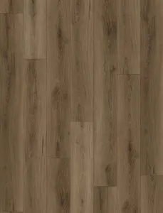 Ernest Vanntett Plus By Canadian Standard