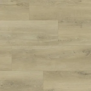 Fierce Spruce Timberline Collection By Fuzion