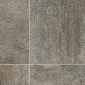 Build Pro Astrion 586 By Stevens Omni