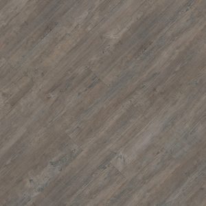 Latin Pine 24868 (Special order only) By Stevens Omni