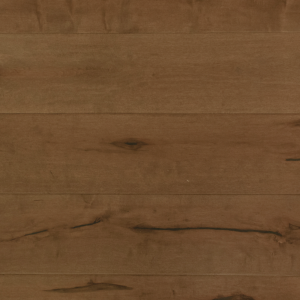 Grandeur Leo from the Divine Collection