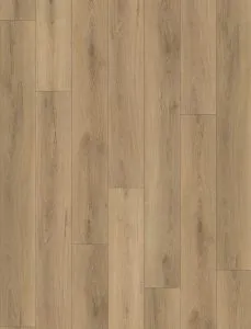 Percy Vanntett Plus By Canadian Standard