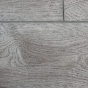 Countryside RECS2102 American Hornbeam By Stevens Omni