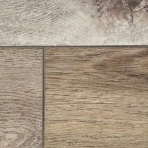 Countryside RECS2101 Eastern Cottonwood By Stevens Omni