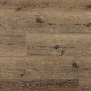 Great Oregon Oak REOR2302 Holm Oak By Stevens Omni