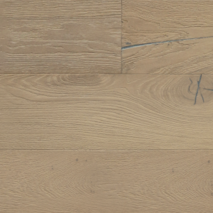 Grandeur Rhine River from the Metropolitan Collection