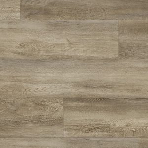 Roots55 EIR Santa Cruz 59253 (Special order only) By Stevens Omni