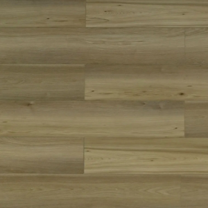 Lion TFSPC607-F By Toucan