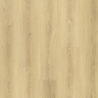 8804 - Kitsilano Vancouver By Home's Pro