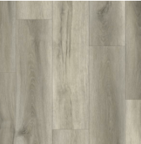 669 - Cody Venice By Home's Pro