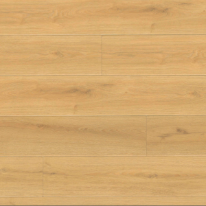 Elwood Everlife Wayne Parc Reserve By MSI