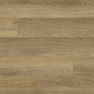 Ayla Everlife Acclima By MSI