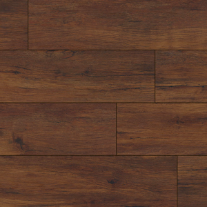 Braly Everlife XL Prescott By MSI