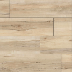 Akadia Everlife XL Cyrus By MSI