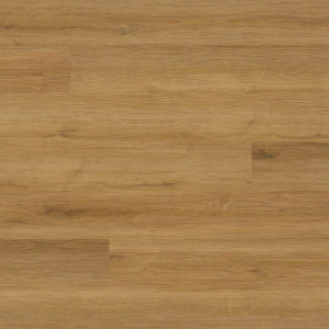 Amber Forrester Everlife XL Cyrus By MSI