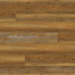 Barnstorm Everlife XL Cyrus By MSI