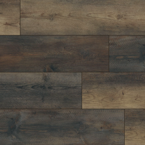 Stable Everlife XL Cyrus By MSI