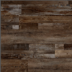 Bembridge Everlife Cyrus By MSI