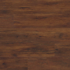 Braly Everlife Cyrus By MSI