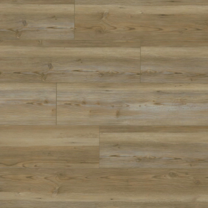 Brookings Everlife XL Cyrus By MSI