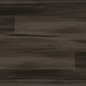 Jenta Everlife Cyrus By MSI