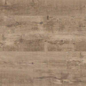 Ryder Everlife Cyrus By MSI