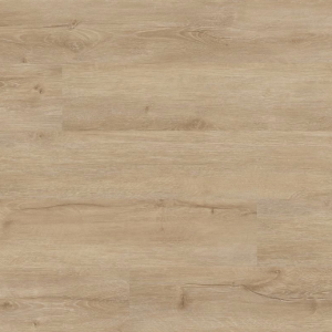 Sandino Everlife Cyrus By MSI