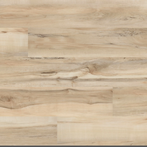 Akadia Everlife Cyrus 2.0 By MSI