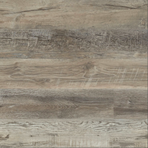 Stableton Everlife Ashton 2.0 By MSI