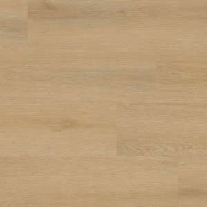 Quillian Everly XL Studio By MSI