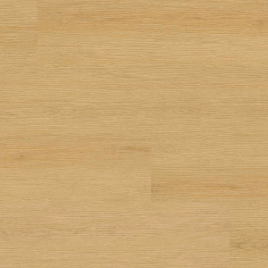 Roswell Everly XL Studio By MSI