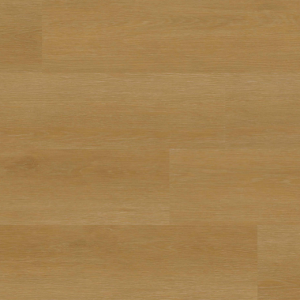 Taos Everly XL Studio By MSI