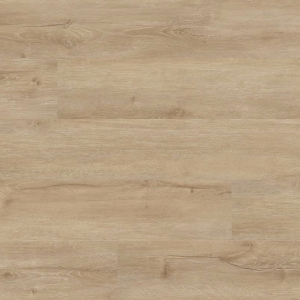 Bozeman Everlife Studio By MSI