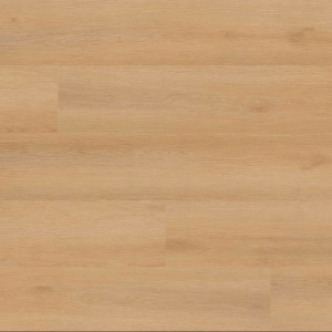 Quillian Everlife Studio By MSI