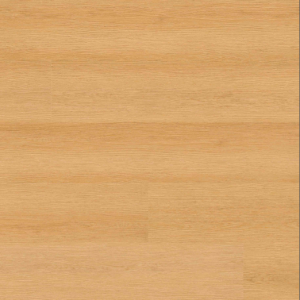 Roswell Everlife Studio By MSI