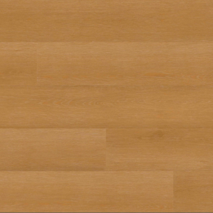 Taos Everlife Studio By MSI