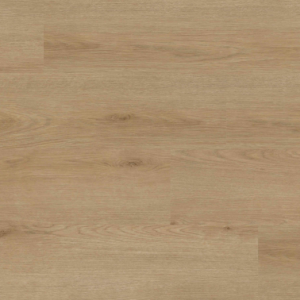 Bozeman Everlife XL Studio By MSI